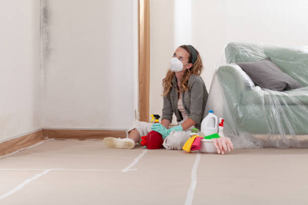 Reliable Mold Inspection And Testing contractor in Laingsburg, MI by Mold Remediation HQ